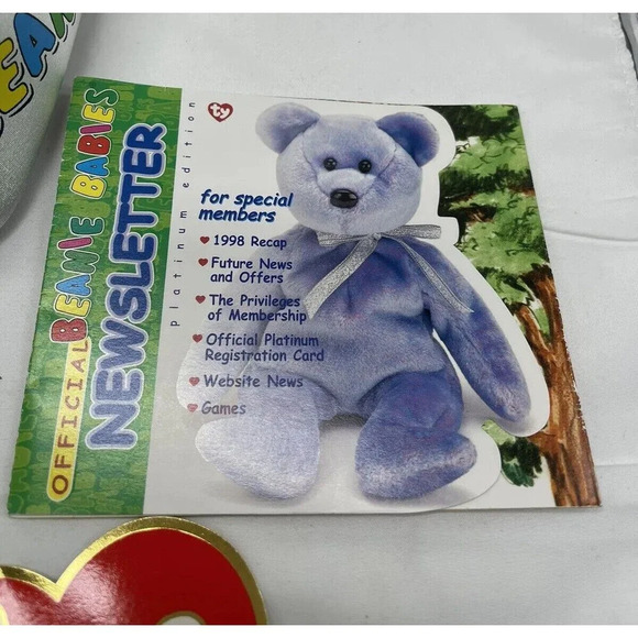 Ty Beanie Babies Silver Official Club Bag carrying Case 9”x 10” zip up lunchbox - Picture 2 of 16